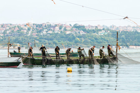 Fishermen