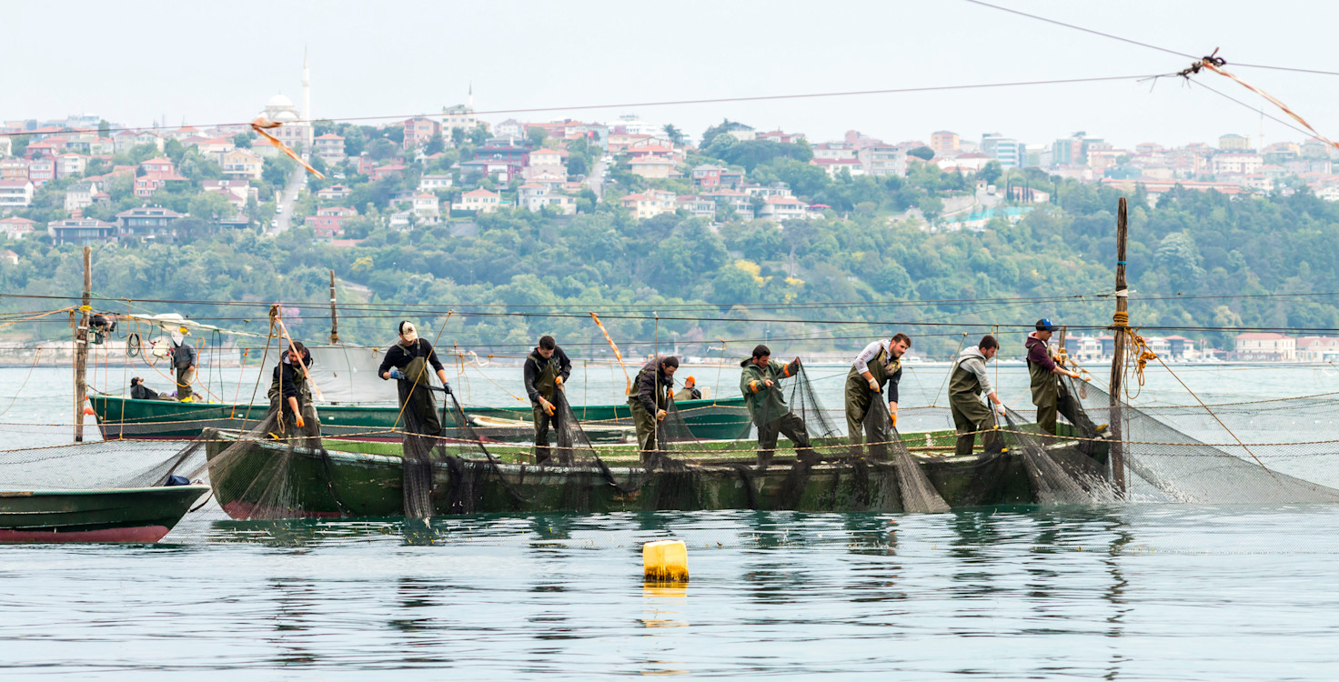 Fishermen