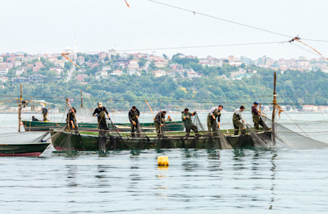 Fishermen