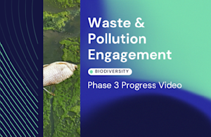 W&P Phase 3 Findings Video Thumbnail