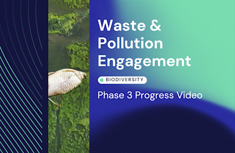 W&P Phase 3 Findings Video Thumbnail