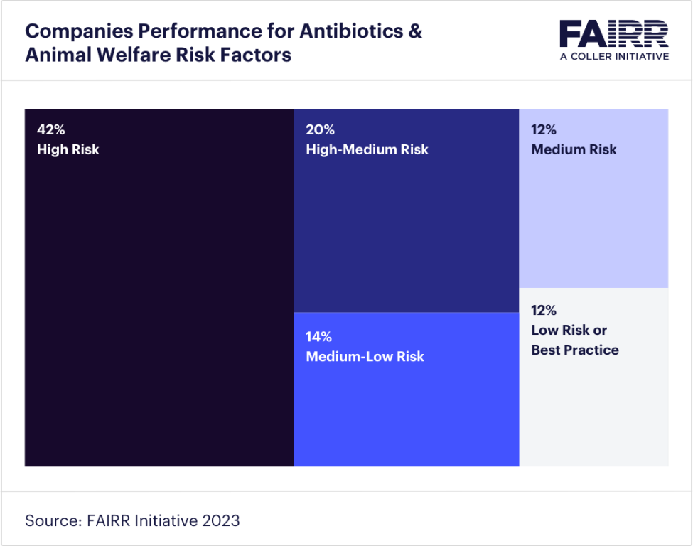 FAIRR-Companies Performance for Antibiotics & Animal Welfare Risk Factors