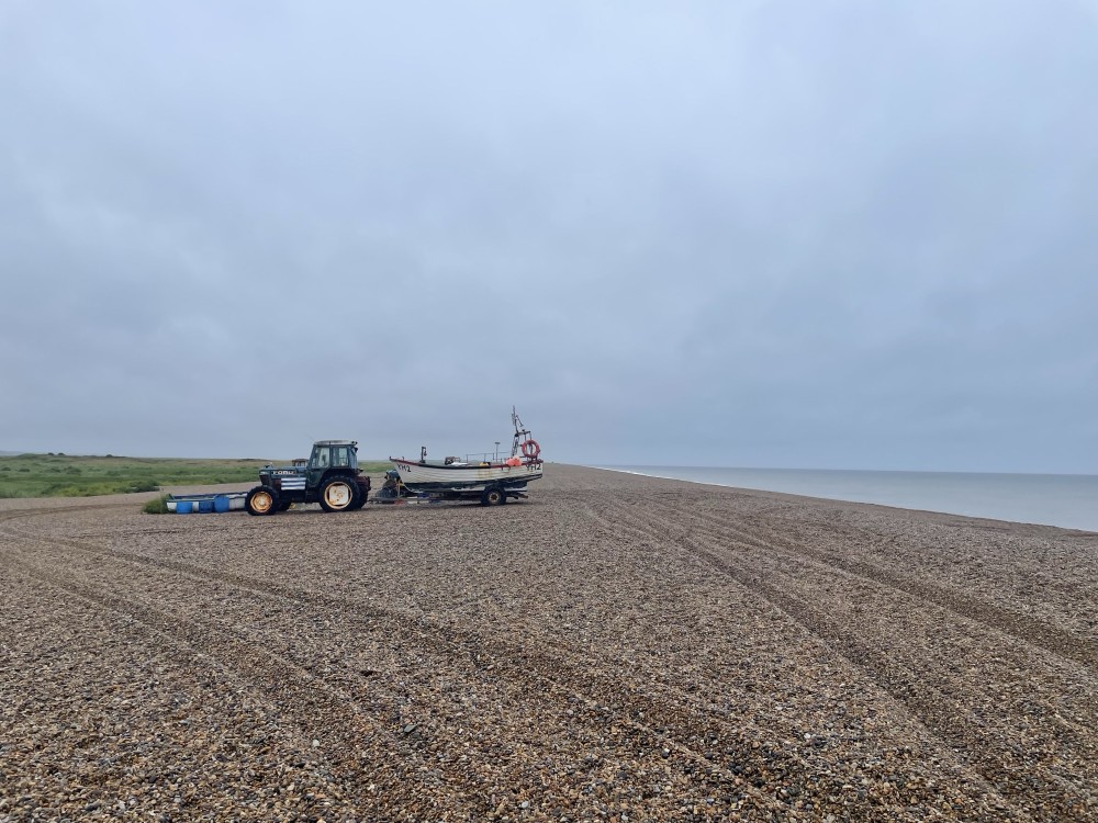 Seaweed farm