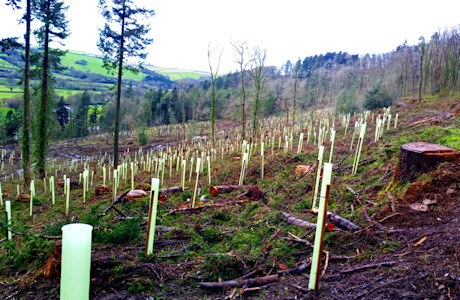 shutterstock 1154166085