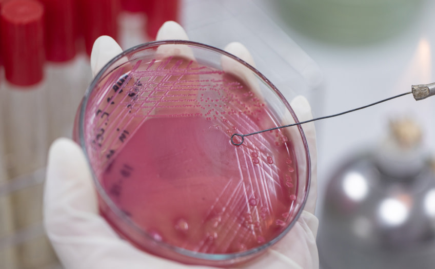 Antimicrobe