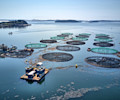 Aquaculture