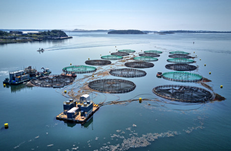 Aquaculture