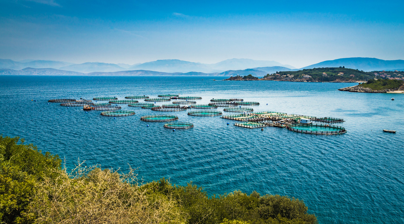 fish farm