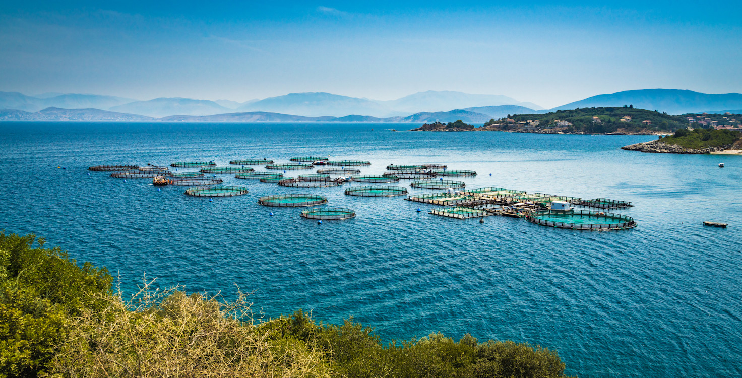 fish farm