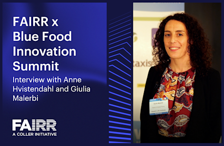 FAIRR x Blue Food Innovation Summit | Interview with Anne Hvistendahl and Giulia Malerbi Thumbnail