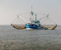 Boat fishing nets