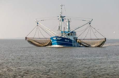 Boat fishing nets