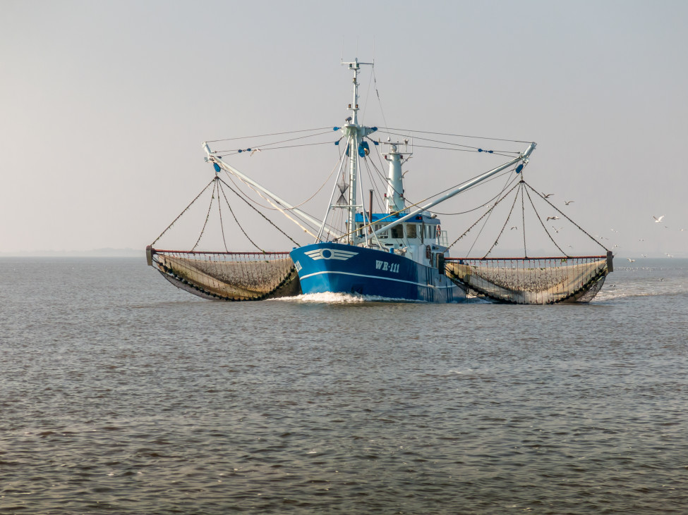 Boat fishing nets 