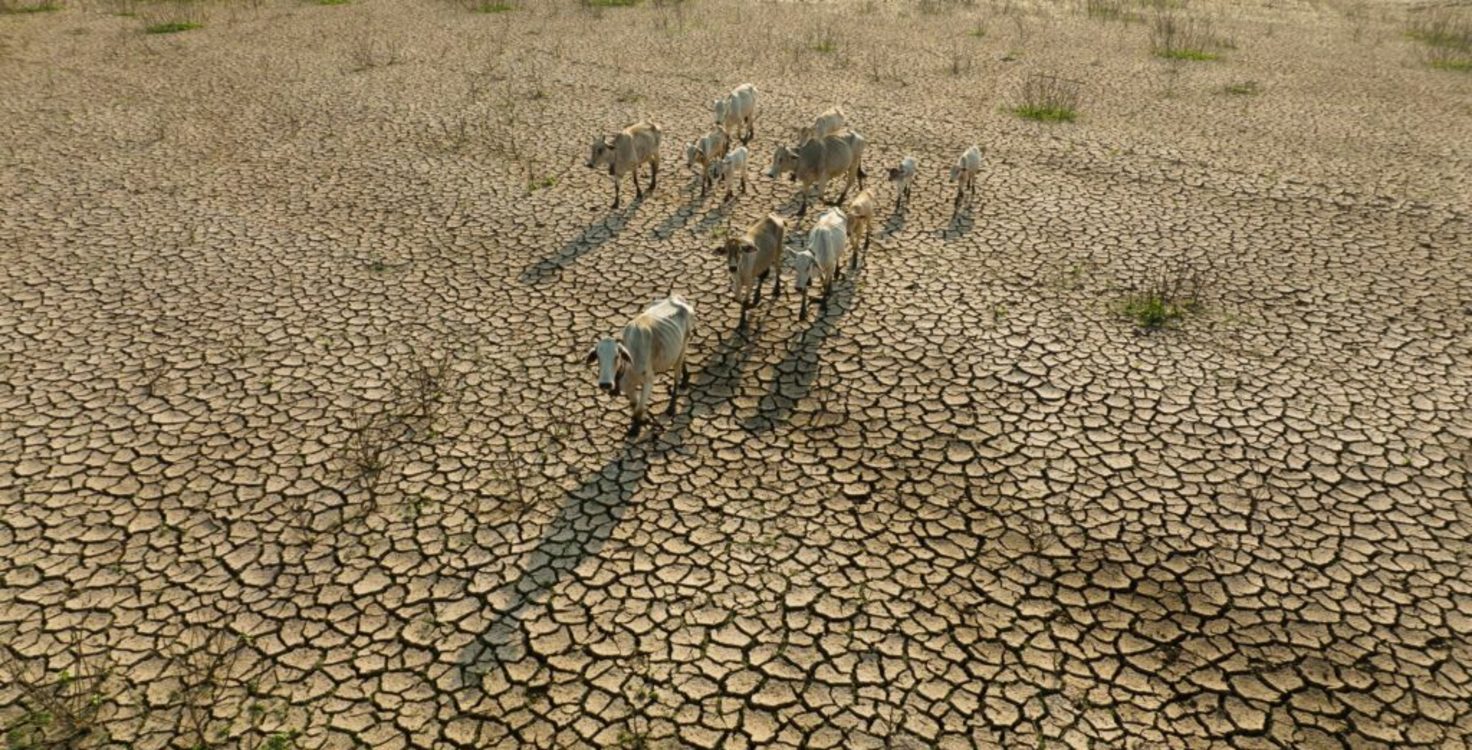 shutterstock 2177533869-1024x683