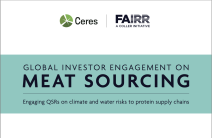 Meat Sourcing Engagement Phase 2 Report