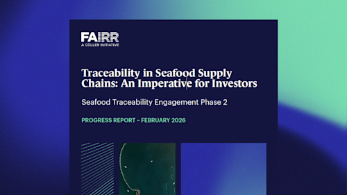 Seafood Traceability Phase 2 report cover