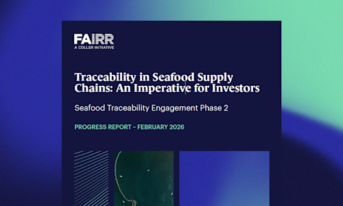Seafood Traceability Phase 2 report cover