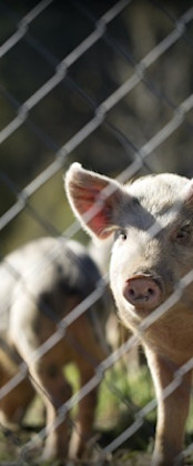 Theme-Header-Image-1