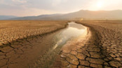 Dry Land