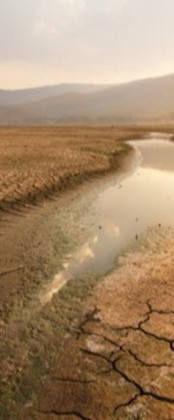 Dry Land
