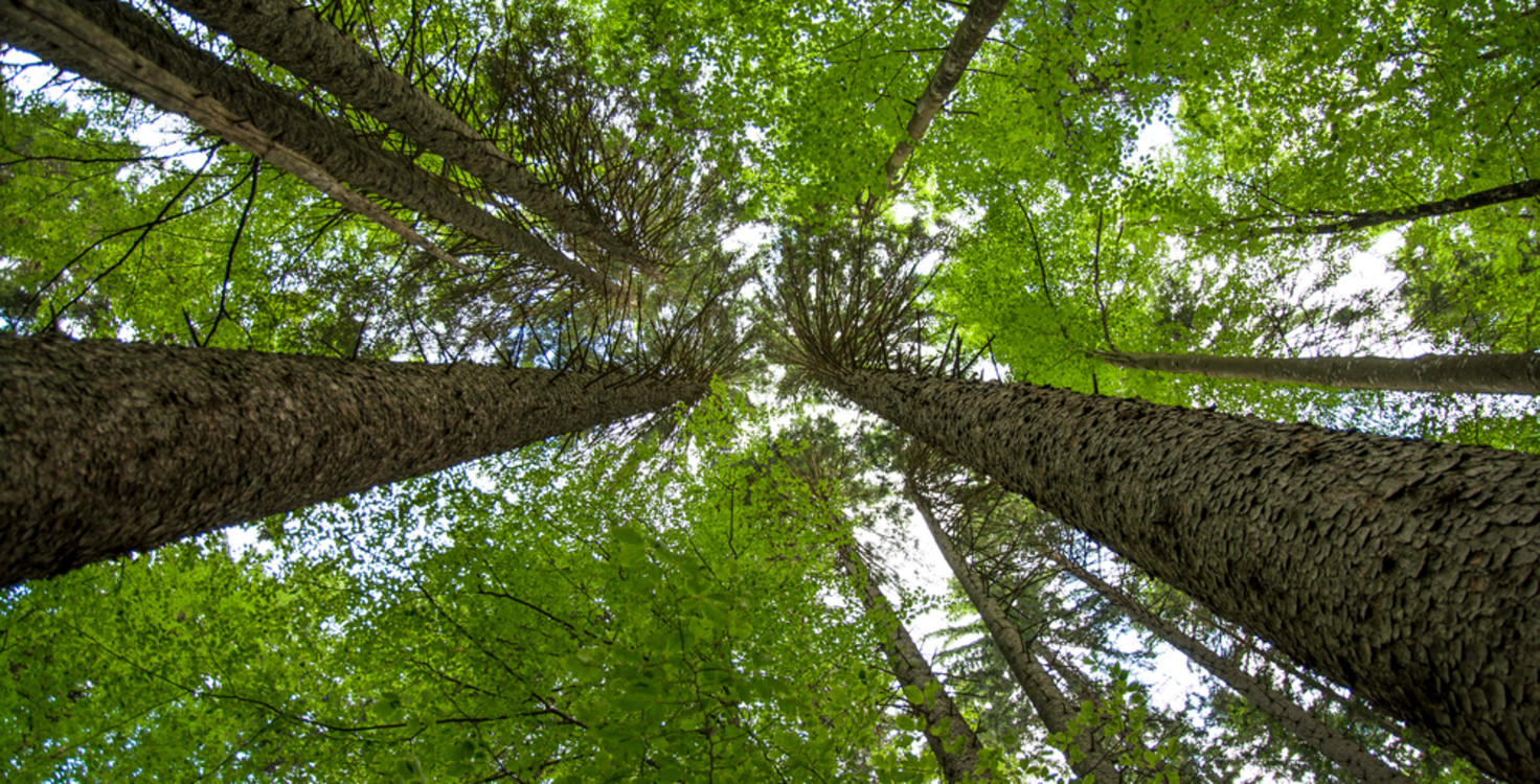 shutterstock 201418142