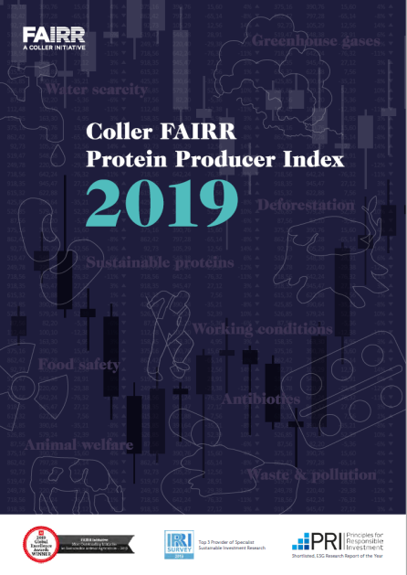 Index-2019 Report