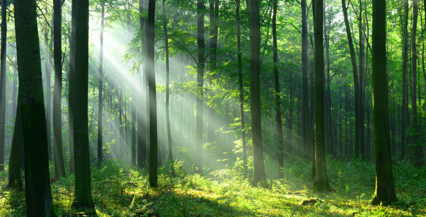 shutterstock 721120522