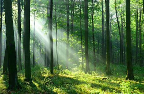 shutterstock 721120522