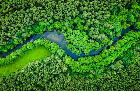 shutterstock 1510798364