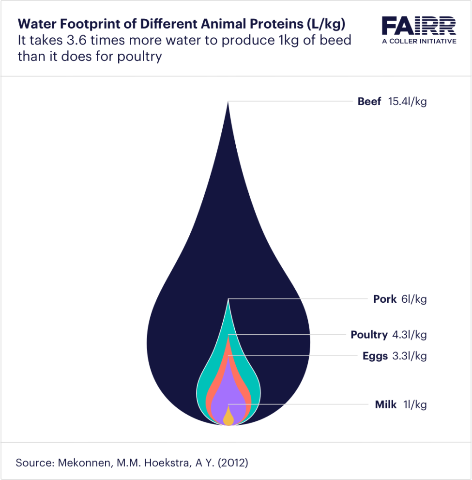 FAIRR-Water Footprint of Different Animal Proteins