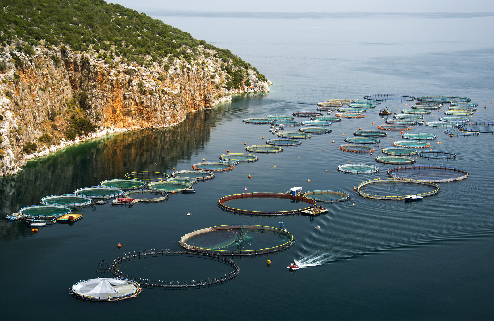 Aluminum in Marine Farming | Aluminum Boats for Aquaculture
