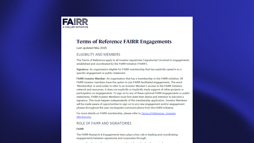 Engagement - Terms of reference