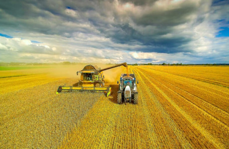 iStock-1133635047-1024x537