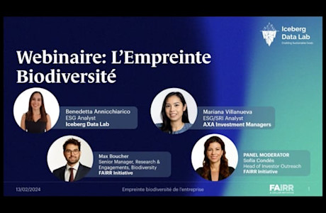 webinar french