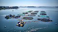 Seafood farming