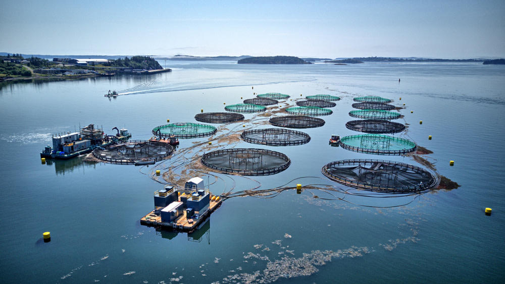 Seafood farming