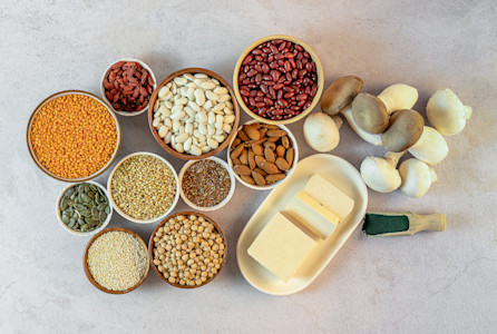 alternative proteins