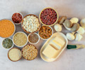 alternative proteins