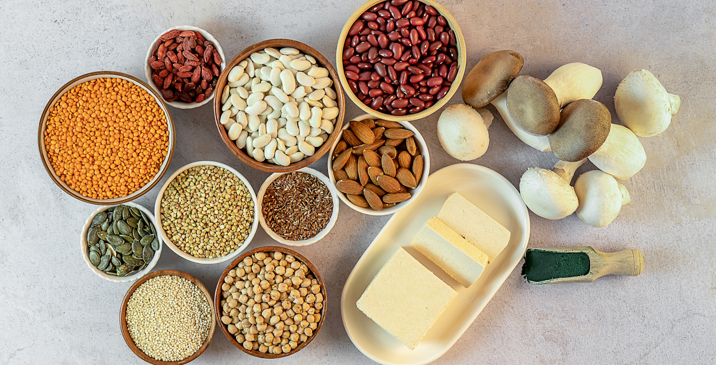 alternative proteins