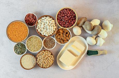 alternative proteins