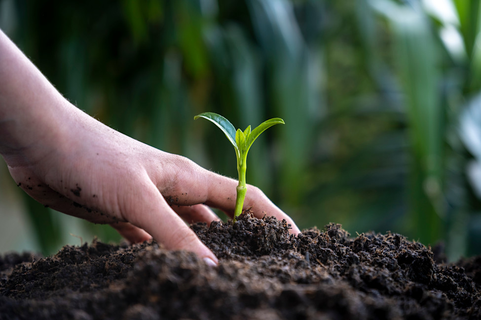 Kunming-Montreal Global Biodiversity Framework