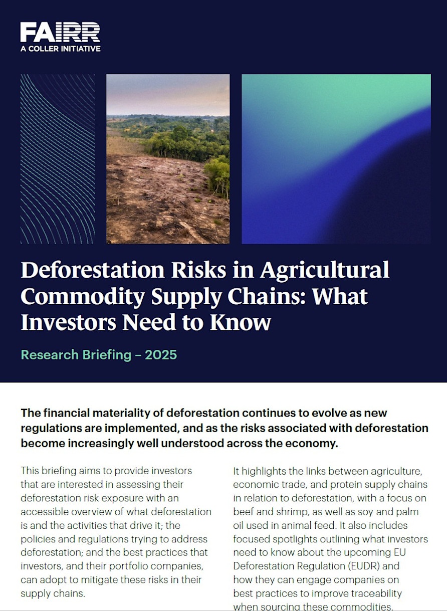 Deforestation Risks in Agricultural Commodity Supply Chains: What ...