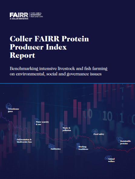 Index-2018-cover Report