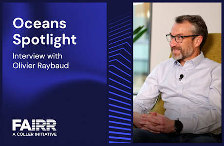 Interview with Olivier Raybaud