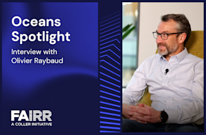 Interview with Olivier Raybaud