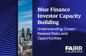 Blue Finance Investor Capacity Building