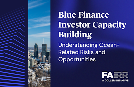 Blue Finance Investor Capacity Building