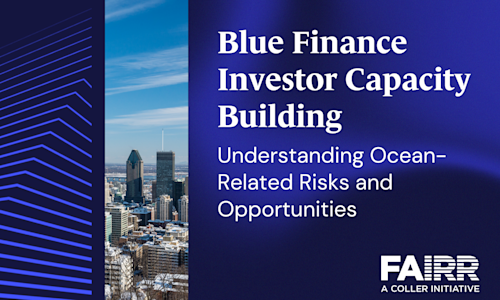Blue Finance Investor Capacity Building