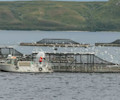 salmon farm