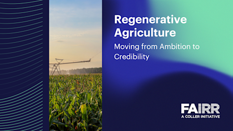 Regen Ag: Moving from Ambition to Credibility Video Thumbnail